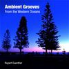 https://bluewolf-reviews.com/music/ambient-grooves-from-the-western-ocean-2/