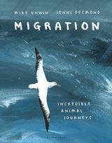 Migration  Incredible Animal Journeys