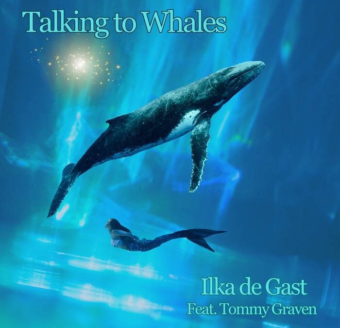 Talking to Whales